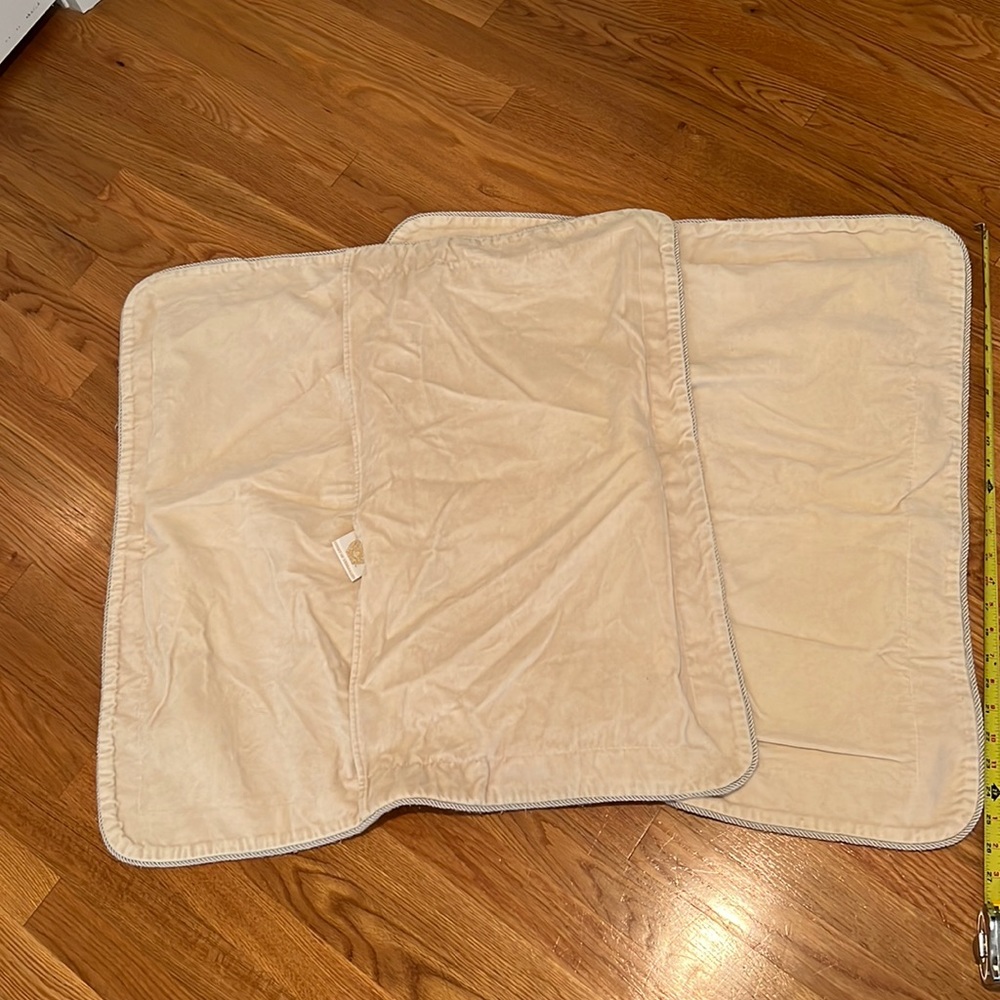 2 velvet Euro shams